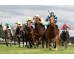  Carrera: P.Luis Manso Monta: A.Serrano Caballo: Araka la Kana
